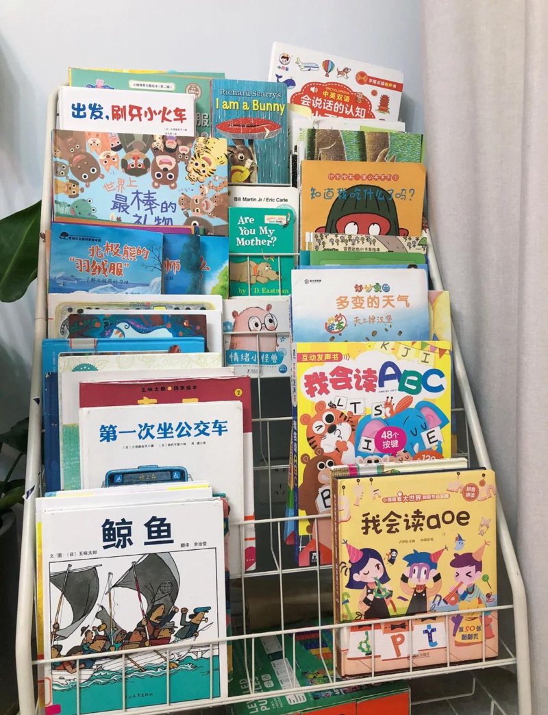 绘本借阅,让阅读成为亲子互动的艺术
